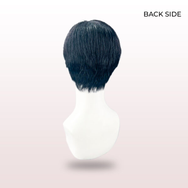 the back part of the wig