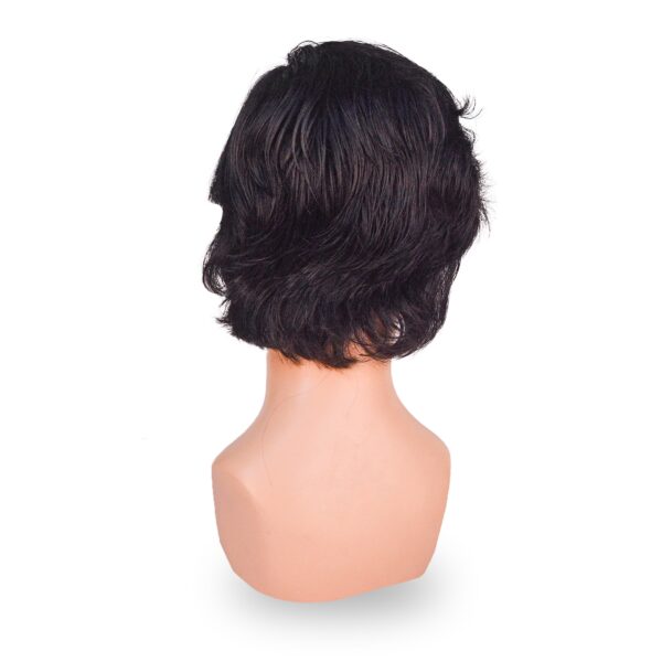 the image showing the back side of the wig